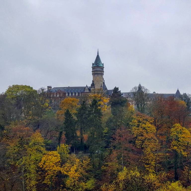 IMG_20171110_133310_178