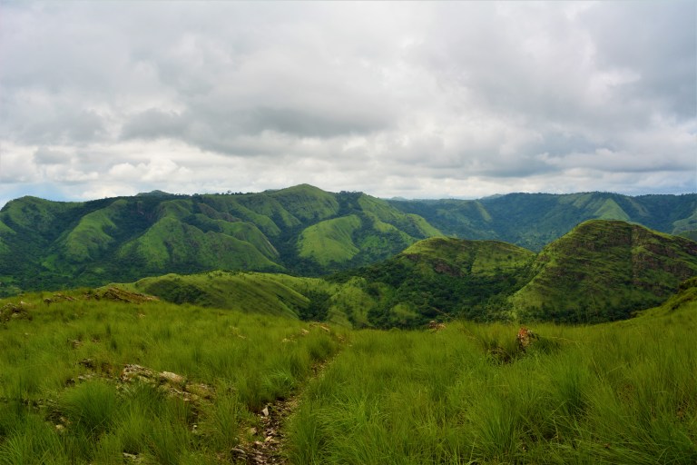 Wli Falls Hike 11.jpg