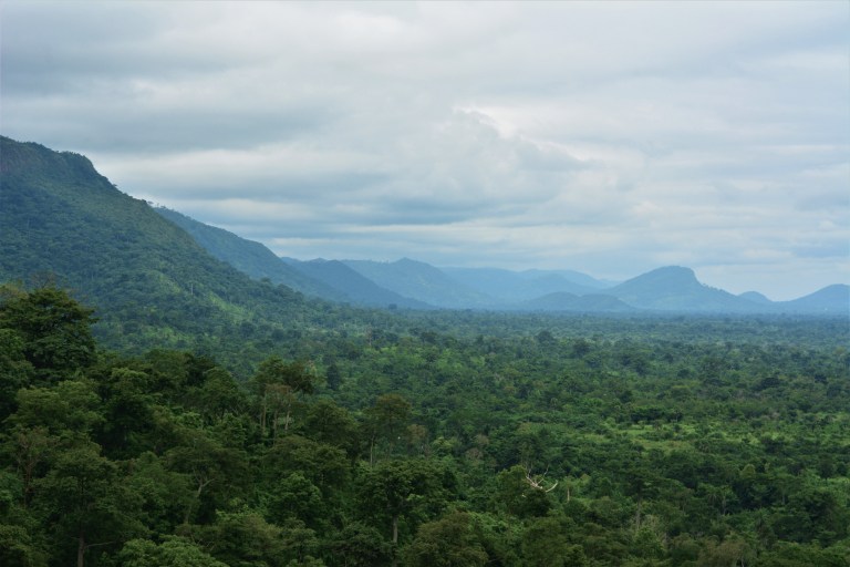 Wli Falls Hike 4.jpg